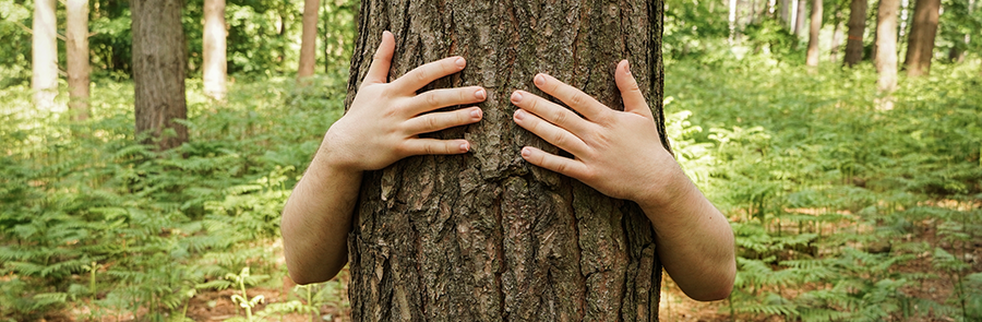 Non à la déforestation